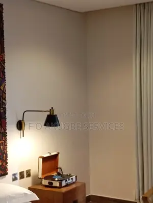 Professional Painter