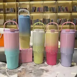 Double Wall Lnsulated Cup