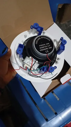 Professional Ceiling Speaker D 30