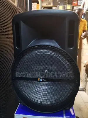 18" Wireless Party Speaker System