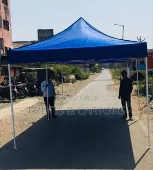 Gazebo Canopy