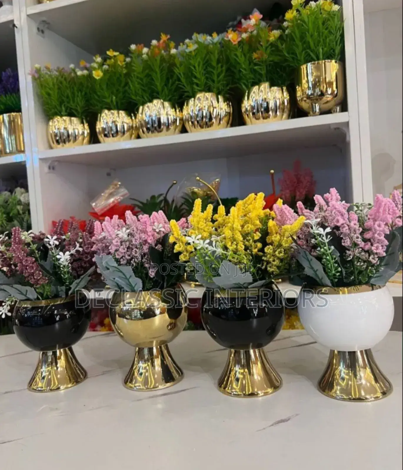 Potted Flowers