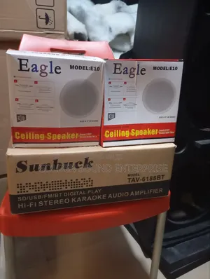 Egale Ceiling Speaker E10 With the Amplifier Stereo