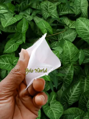 Empty Teabags Without Strings 500 PCS