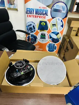 Frameless 2in1 Bluetooth Ceiling Speakers