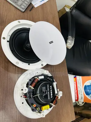 2in1 Bluetooth Speaker With Remote