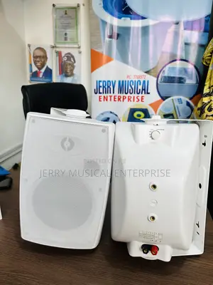 Dart Outdoor/Indoor Speaker