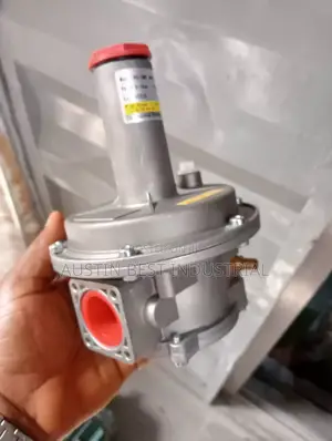 Gas Pressure Regulator