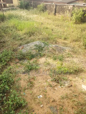 Available for Sale at Ayeni Ashipa Ayobo Lagos