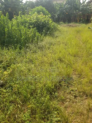 Commercial Land Along Iju Road Ifako Ijaye Lagos