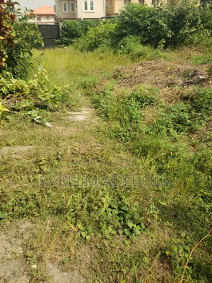 Land Available for Sale at Ologolo Lekki Lagos