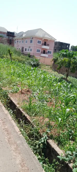 Table Land for Sale at Winners Estate It Has Tight Security