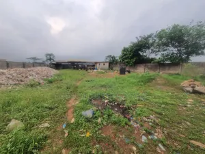 Plastic Recycling Factory Land