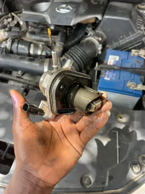 High Pressure Fuel Pump for RAV-4 Lexus Nx300 2019/2020