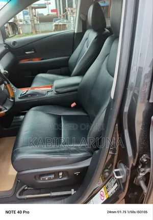 Lexus RX 2010 Gray