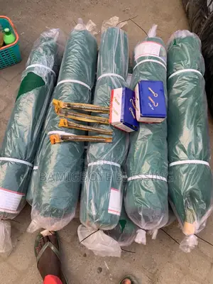 Original Scaffolding Net