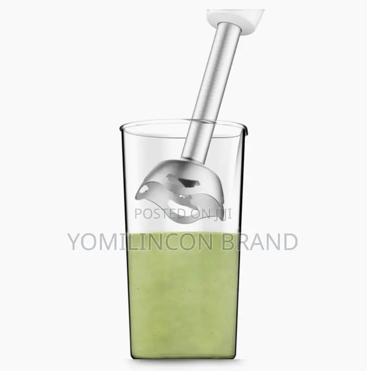 Moulinex Hand Blender/Stick Mixer Dd450
