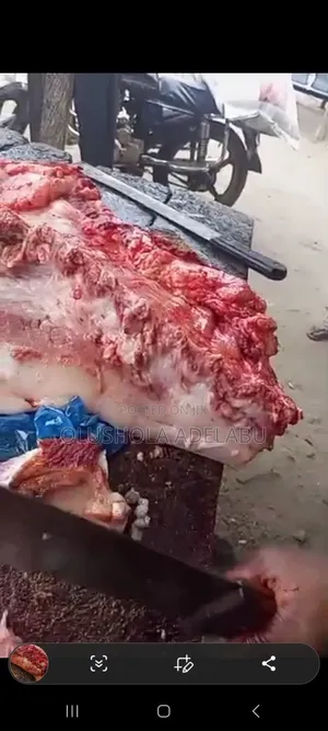 Fresh Pork