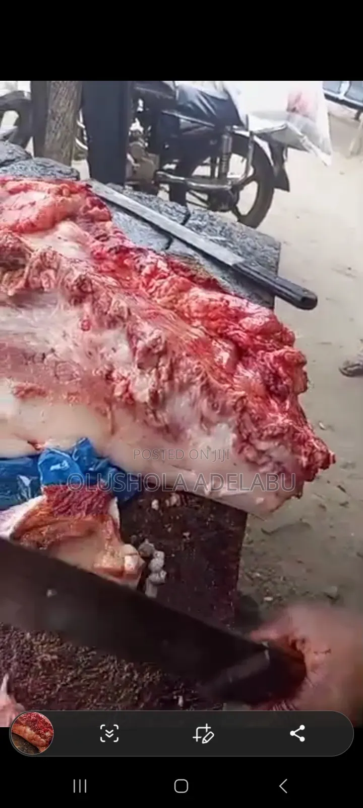 Fresh Pork