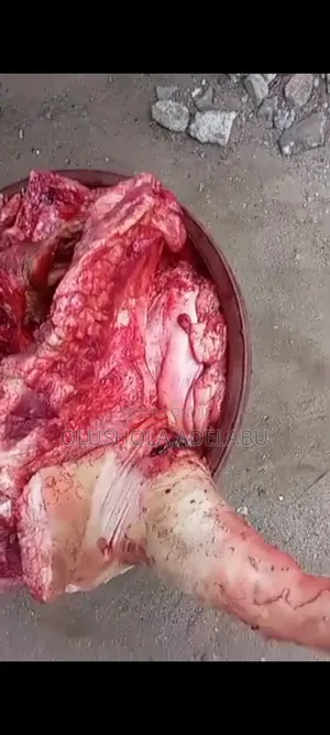 Fresh Pork
