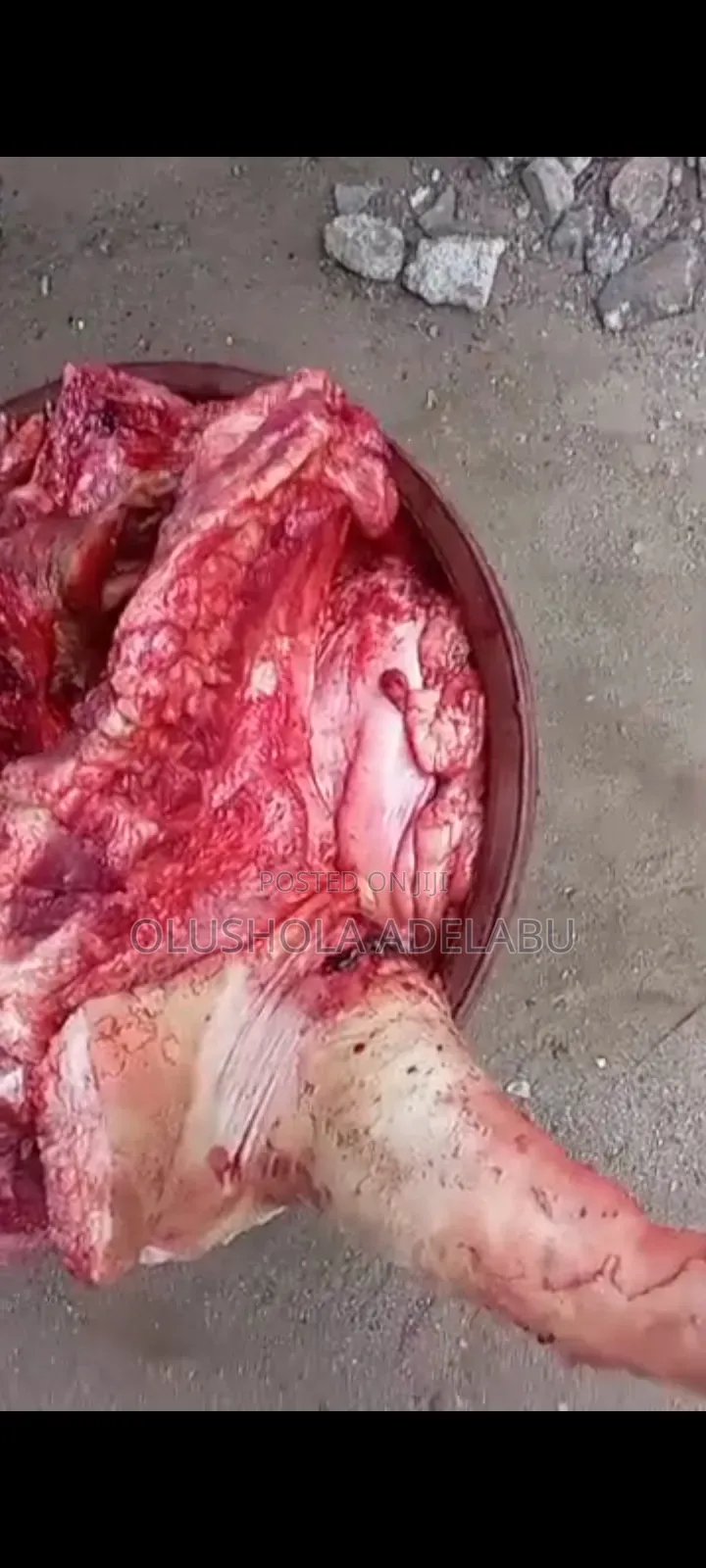 Fresh Pork