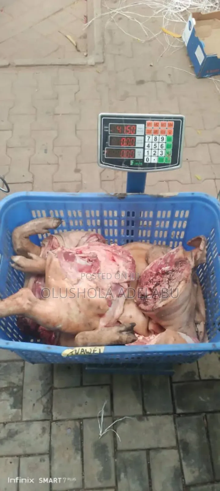 Fresh Pork