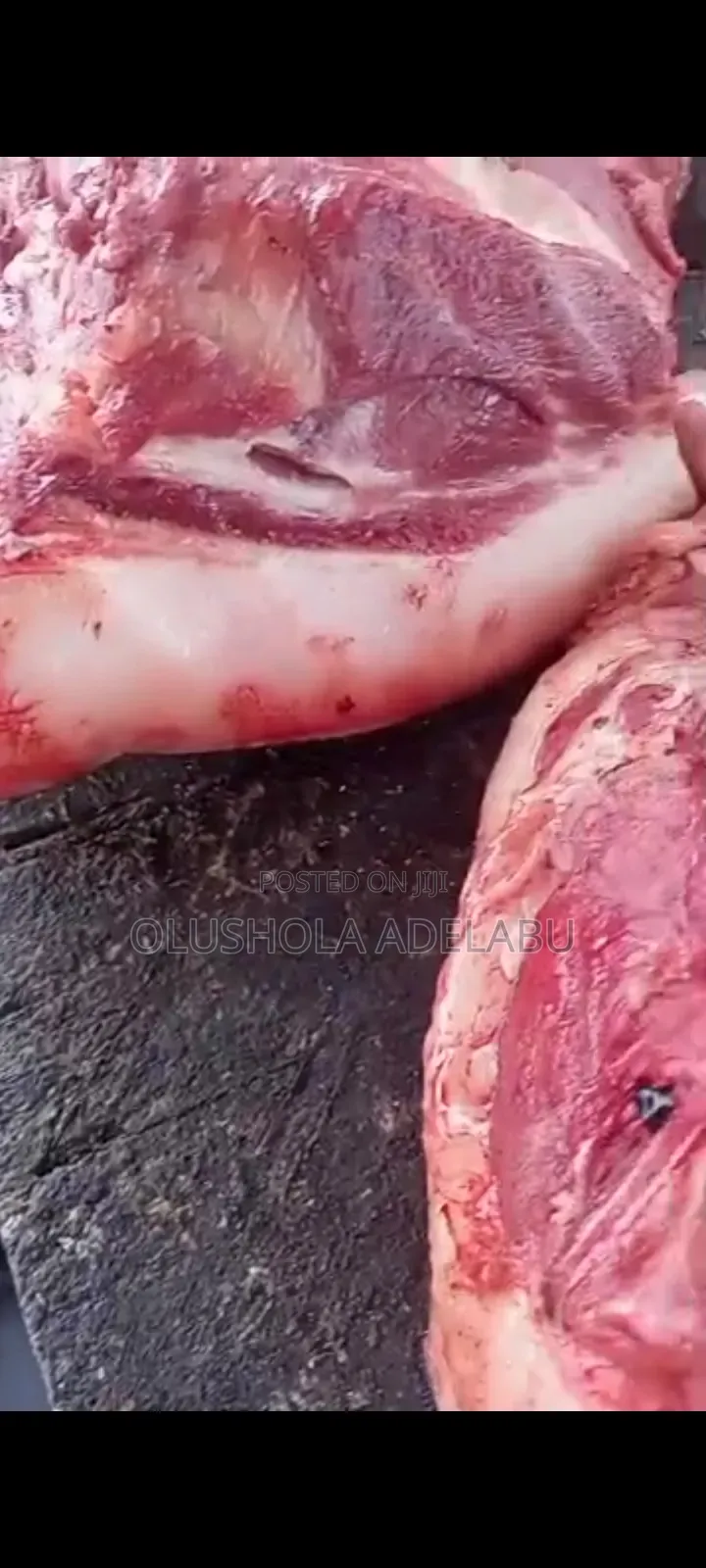 Fresh Pork
