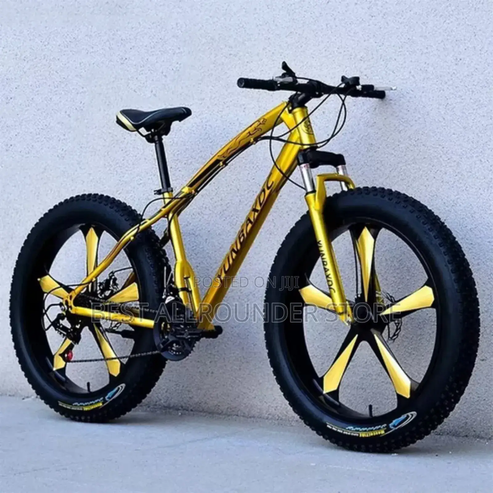 Big Tire Bicycle