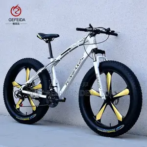 Big Tire Bicycle