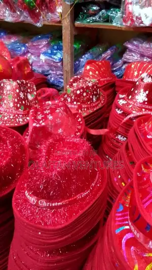 Christmas Hat