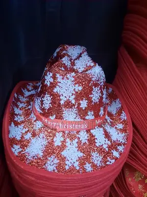 Christmas Hat