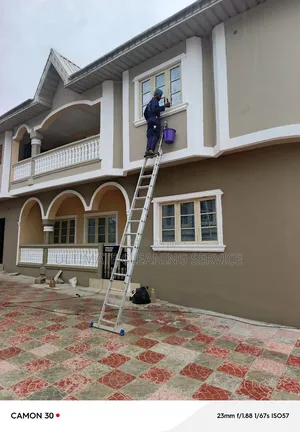 Professional Cleaning Service