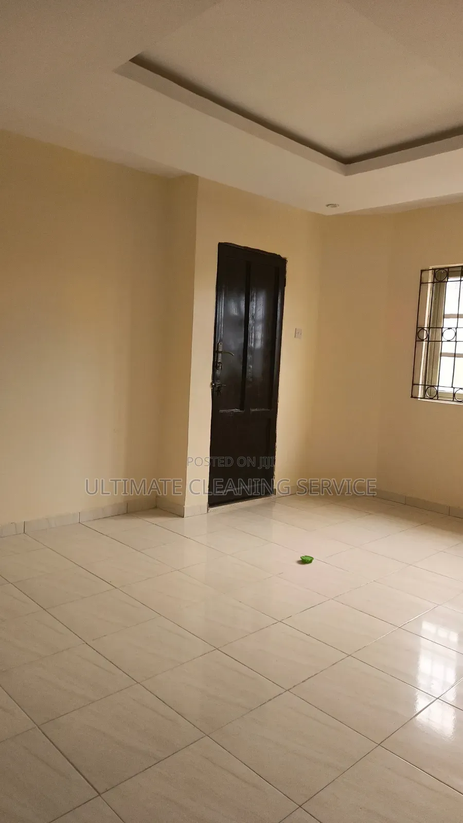 Professional Cleaning Service