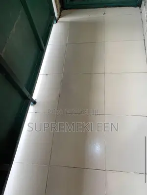 Home Apartment Professional Detailed Cleaning Service