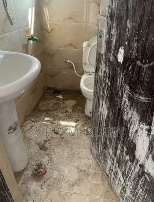 Home Apartment Professional Detailed Cleaning Service