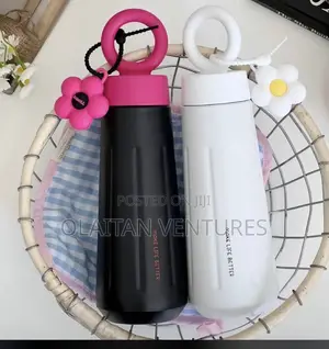 450ML Insulated Flask