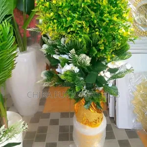 Flower Plants