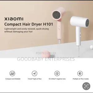 Professional Hair Dryer