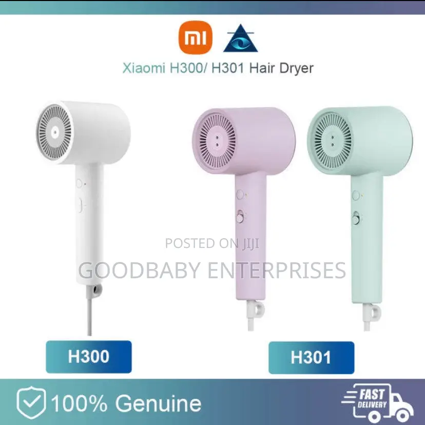 Professional Hair Dryer