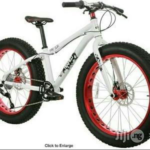 Big Tyre Bicycle