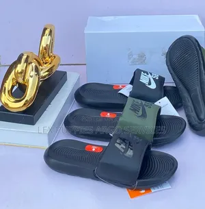 Nike Sb Slides