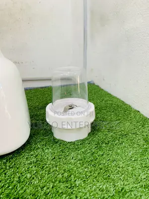 Bestcity Dry and Wet Blender
