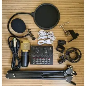Professional Bm-800 Condenser Microphone With V8 Soundcard