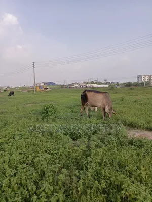 Acres of Land for Sale at Lagos Ibadan Express Road