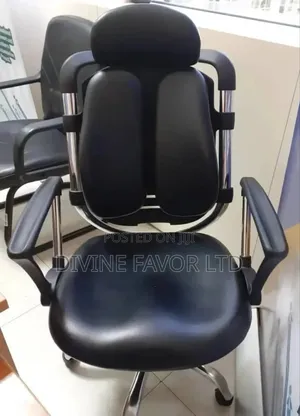 Best Ergonomic Chair for Back Pain.