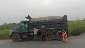 Payment on Delivery  Black Iron Chippings