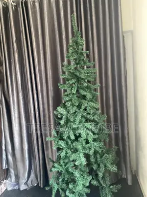 Conventional Green Christmas Tree