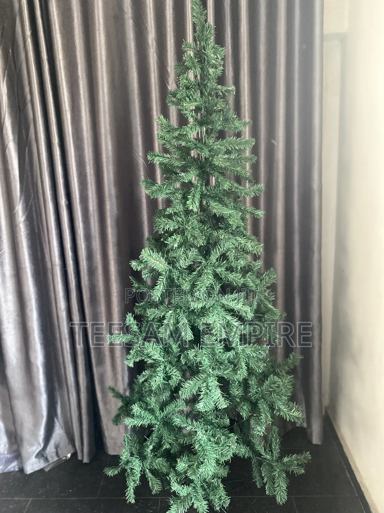 Conventional Green Christmas Tree