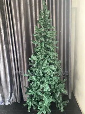 Conventional Green Christmas Tree
