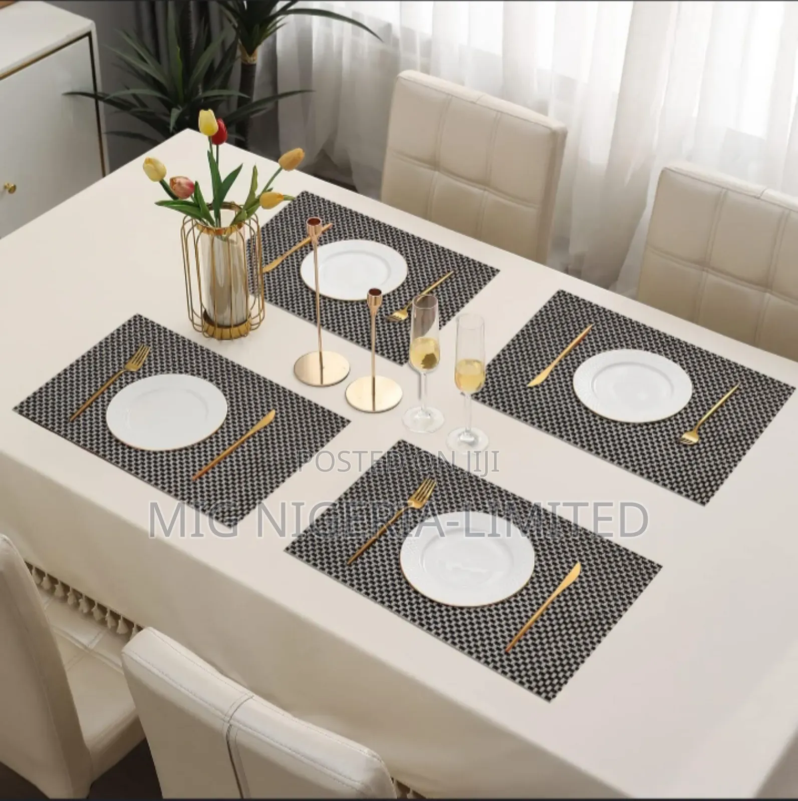 6pcs Dining Place Mat Table Mat 30cmx45cm